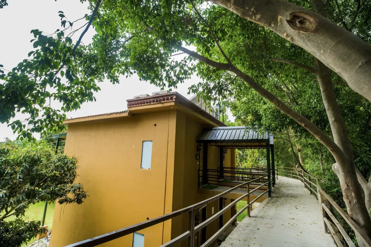 A raised walkway through the trees connecting rooms at Tarangi Resort