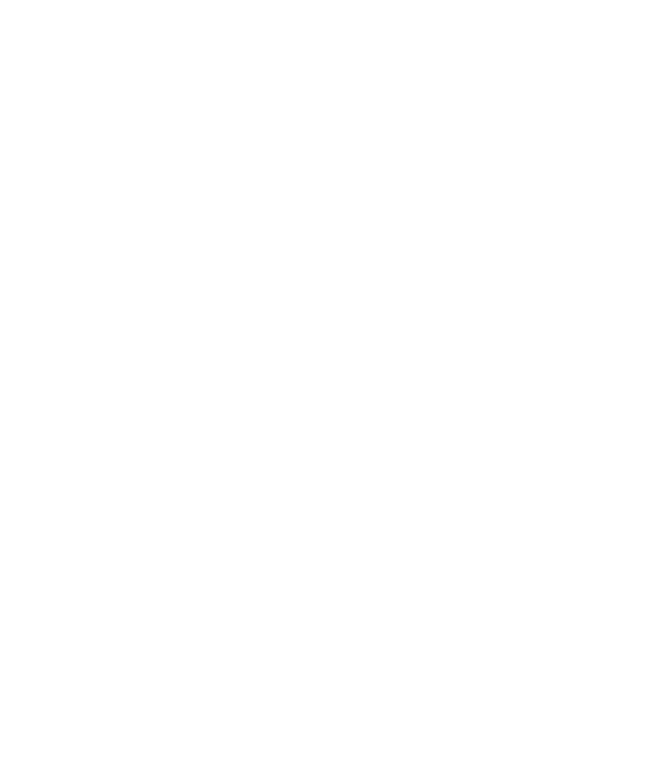 Story Collective