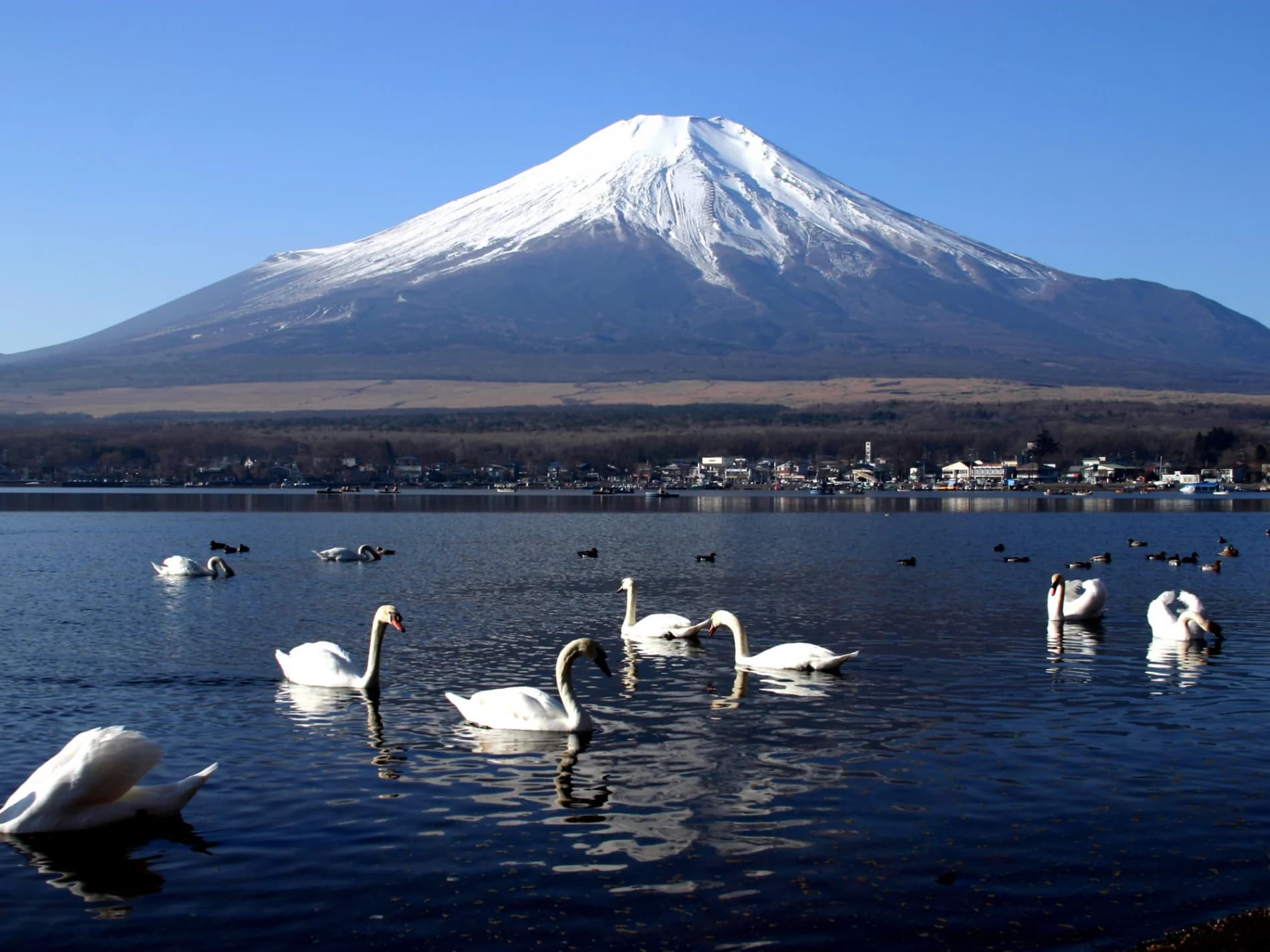 A day out chasing Japan’s icon - The Mt. Fuji.