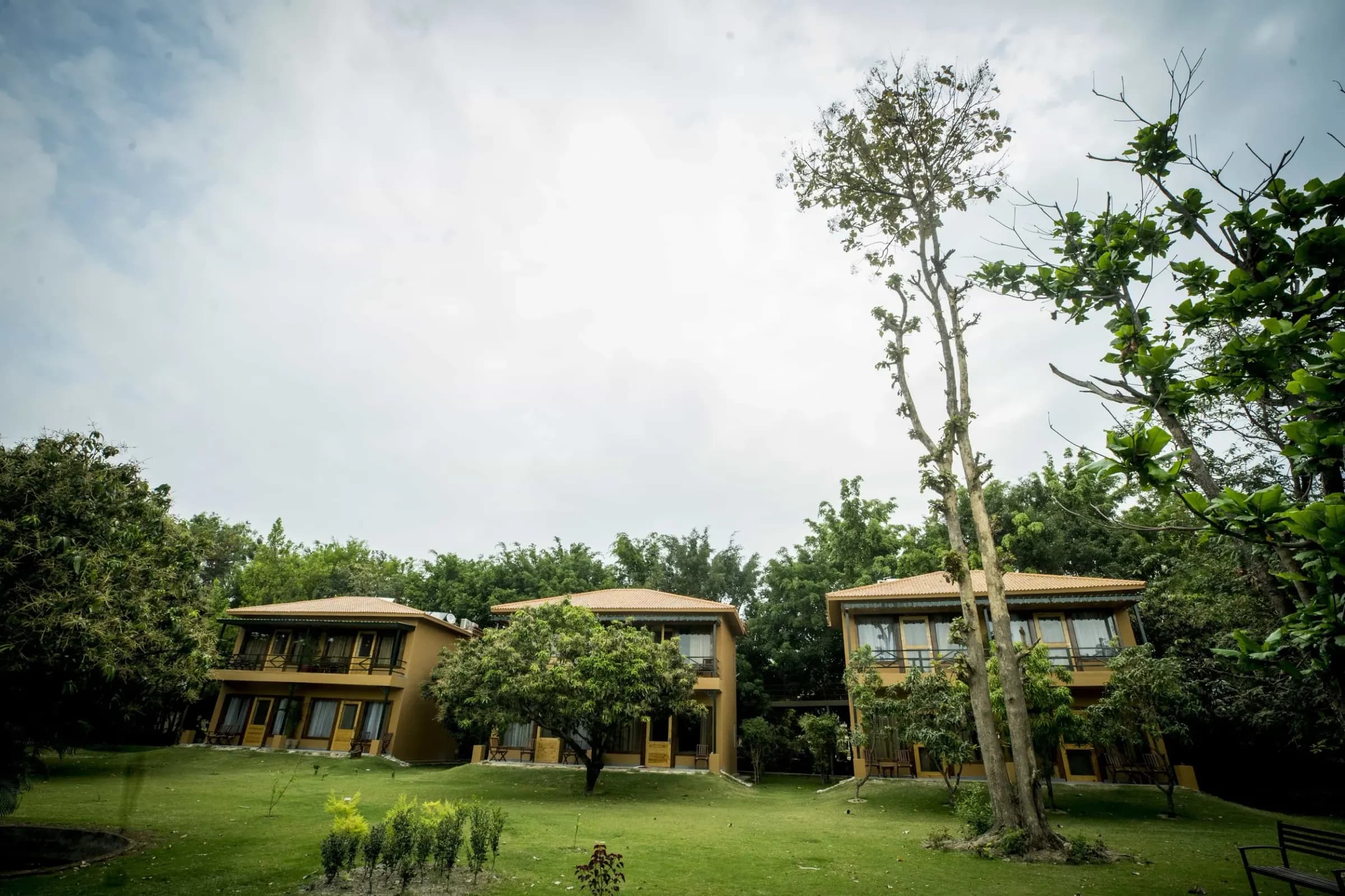 Cottages at Tarangi Resort seen across the lawn, framed by tall trees