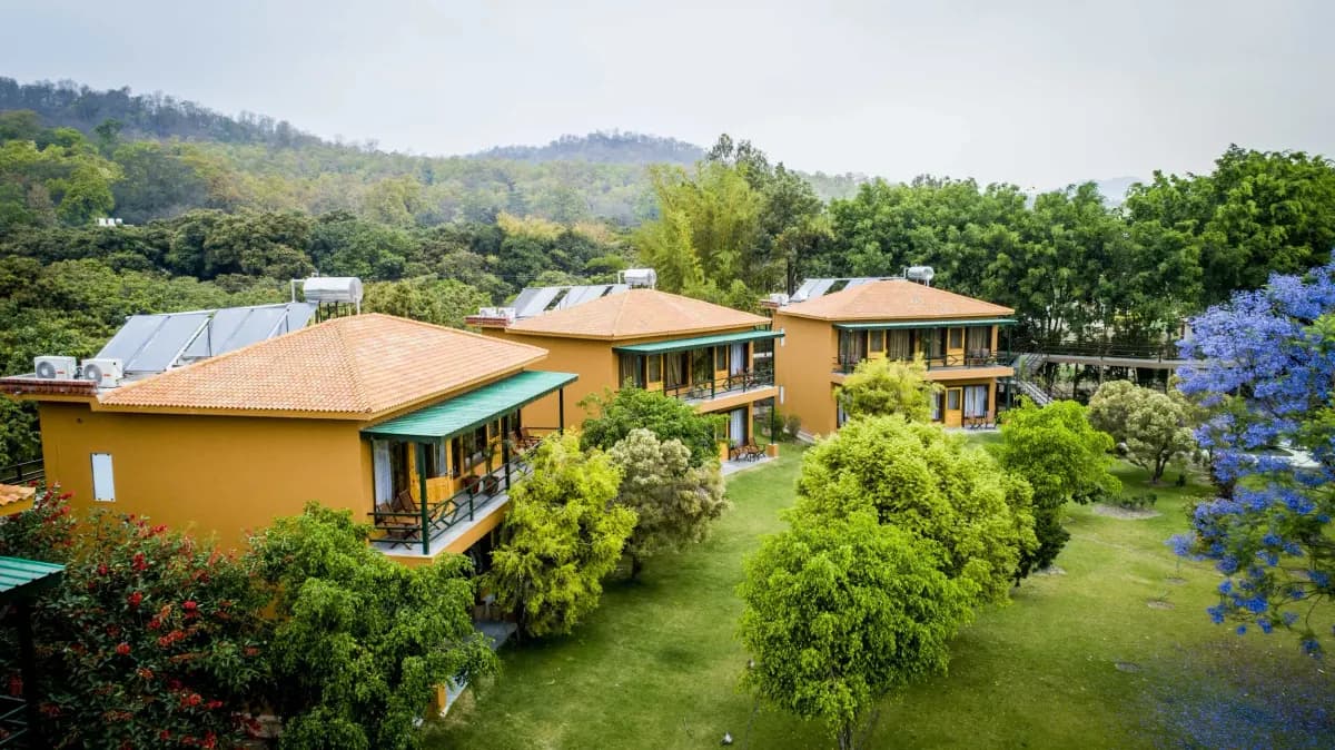 Rooms and walkways at Tarangi Resort, framed by mango trees