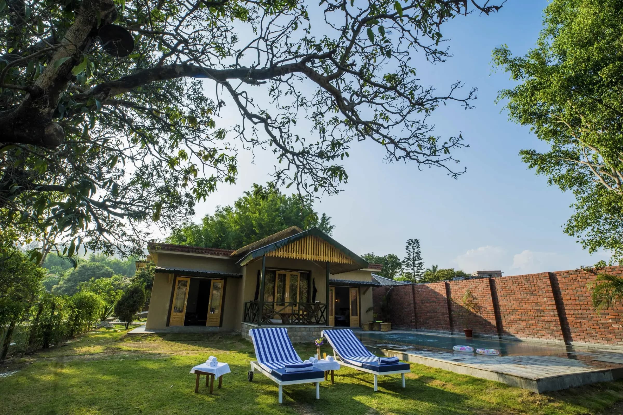 A jacaranda tree in bloom over the pool and lawn at Tarangi Resort