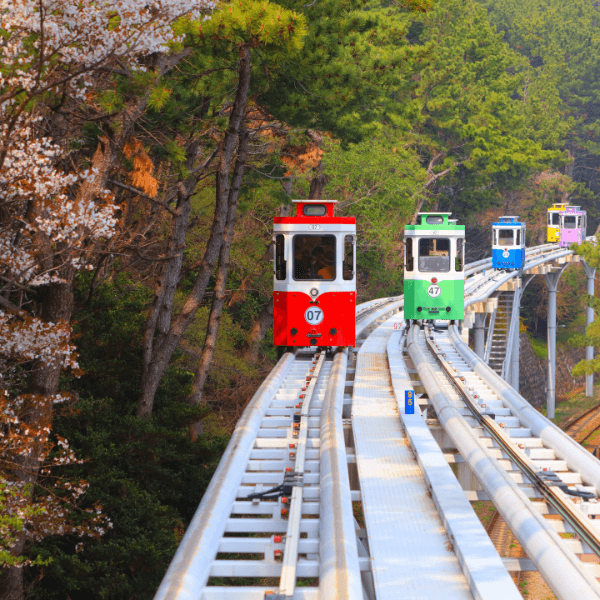 Ride pastel Sky Capsules along Busan's coastline at golden hour